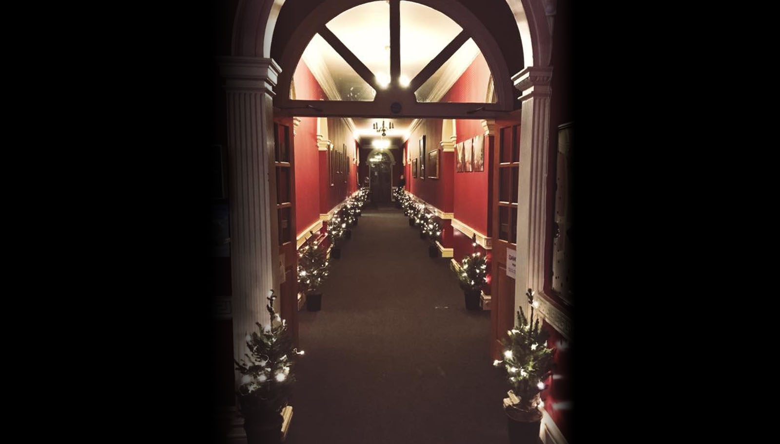 The Main Corridor through Bedale Hall lined with small, fairy light lit, trees. 